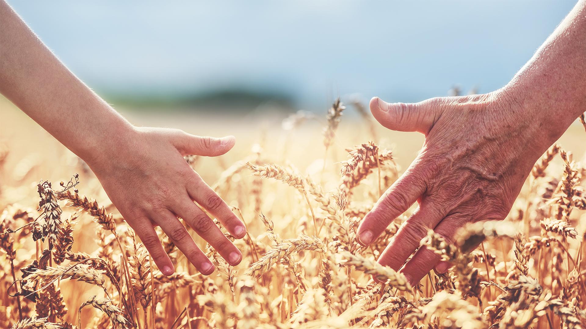 Új irányt vehet az agrárium – a jövő a tét