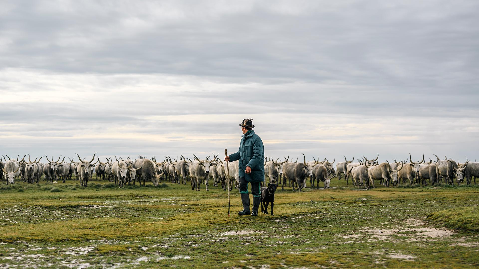 Fotó: Paragi Dénes, A gyepek titkai IV. fotópályázat