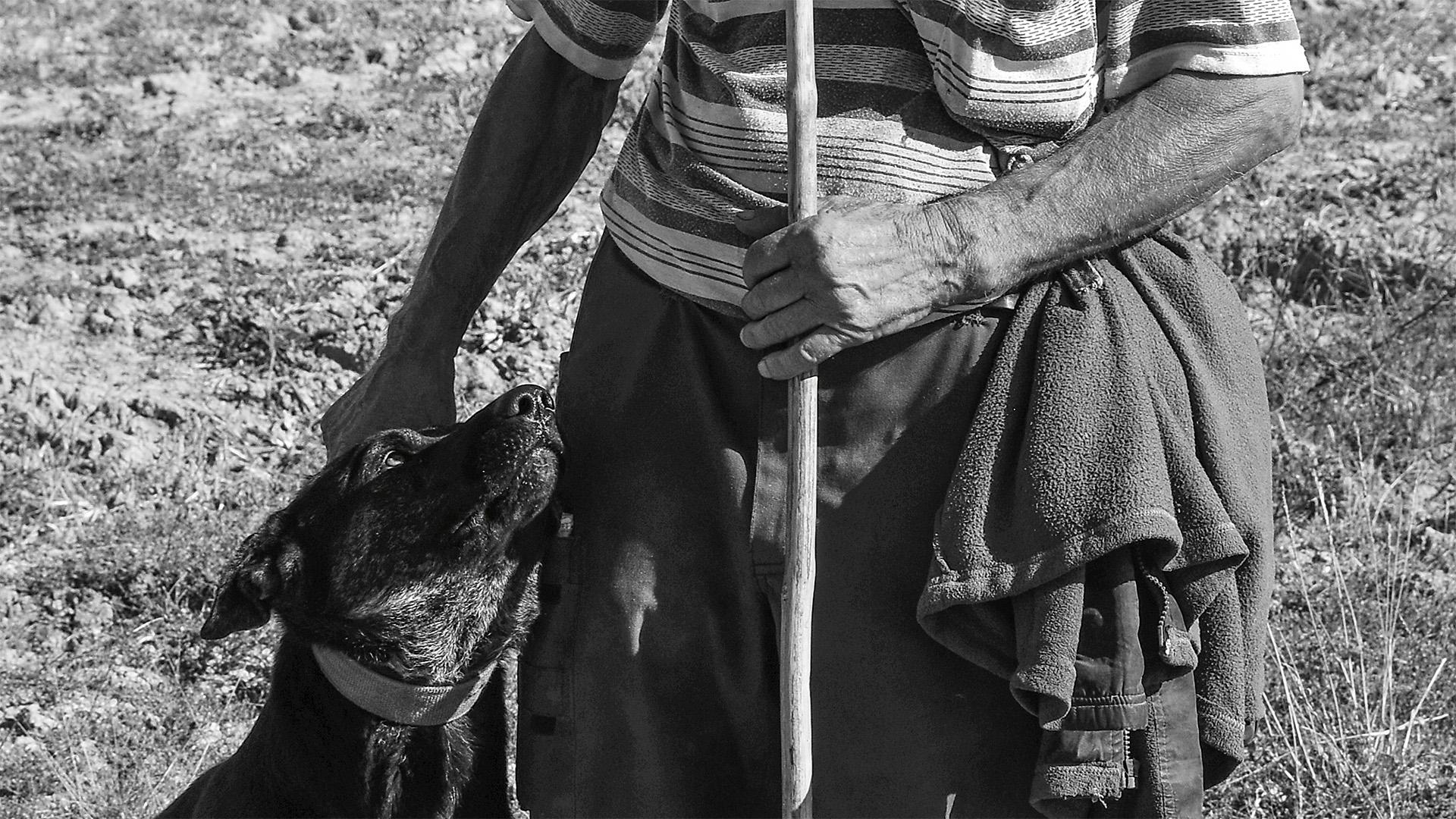 Fotó: Vágány Zoltán – Hűség, A gyepek titkai IV. fotópályázat