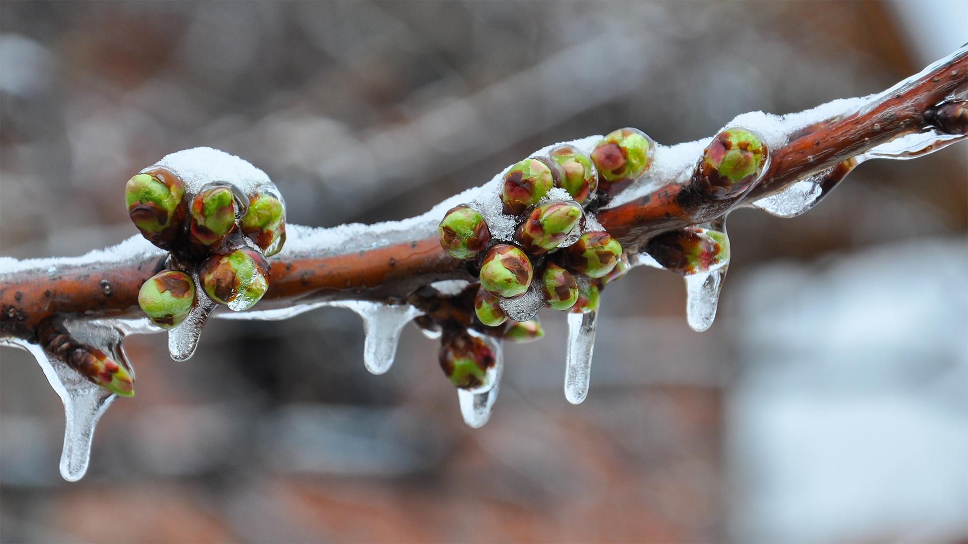Lényeges változások a KAP pályázati menetrendben 