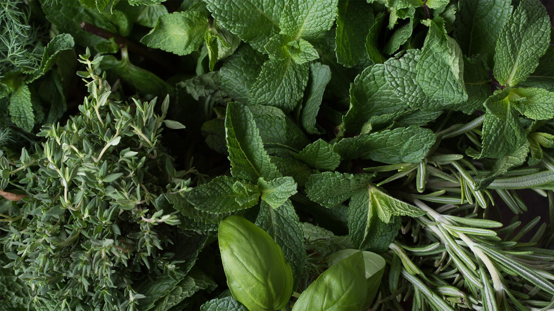 Hamarosan új kisüzemi pályázat indul