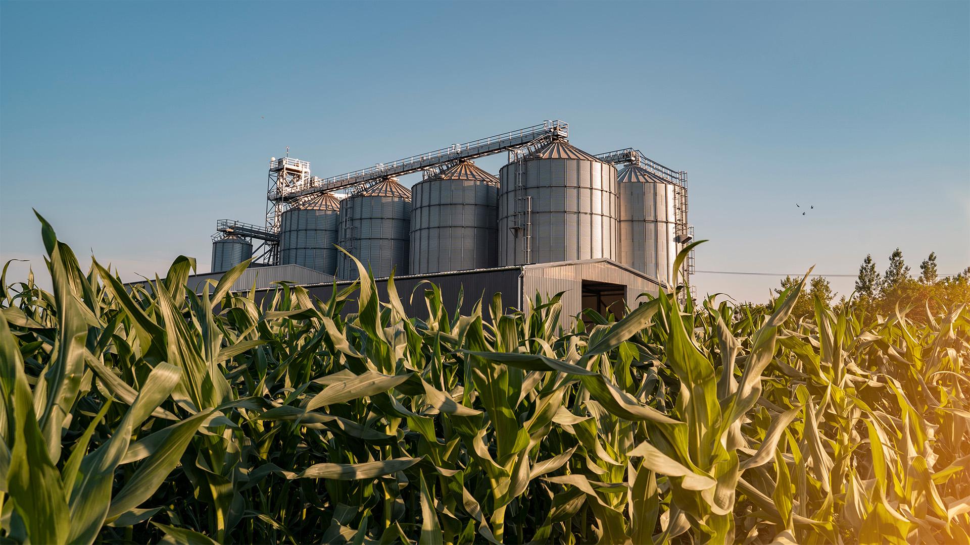 Jelentős forrás segíti a terményszárítók fejlesztését