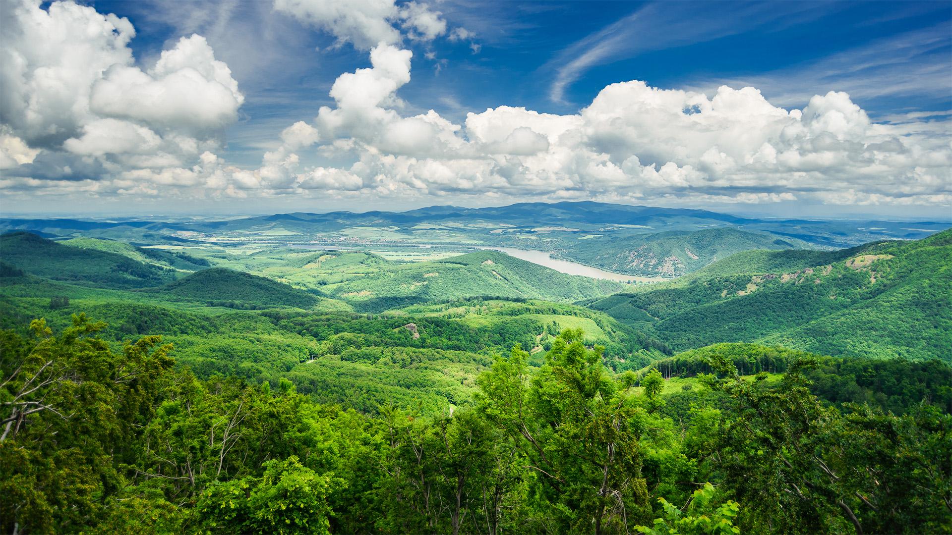 Indul a többéves erdő-környezetvédelmi pályázat
