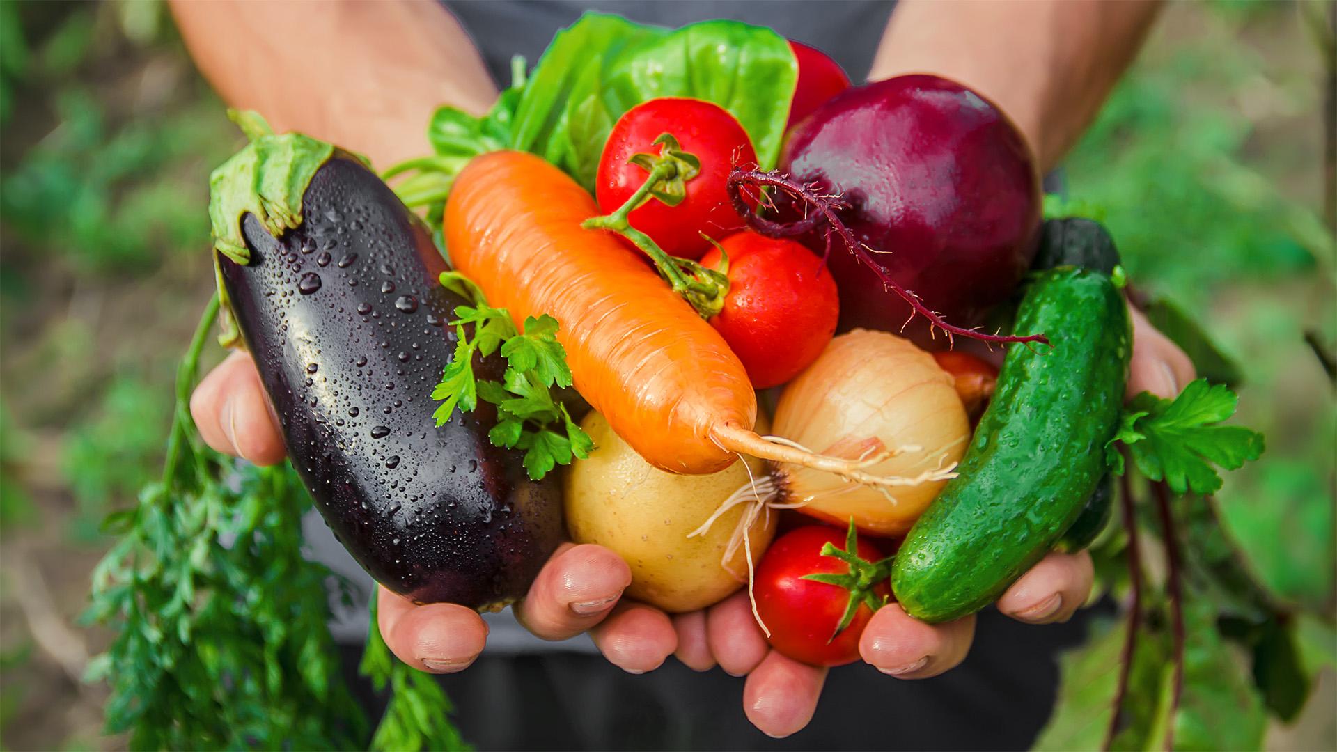 Román jó gyakorlat a rövid ellátási láncok fejlesztésére