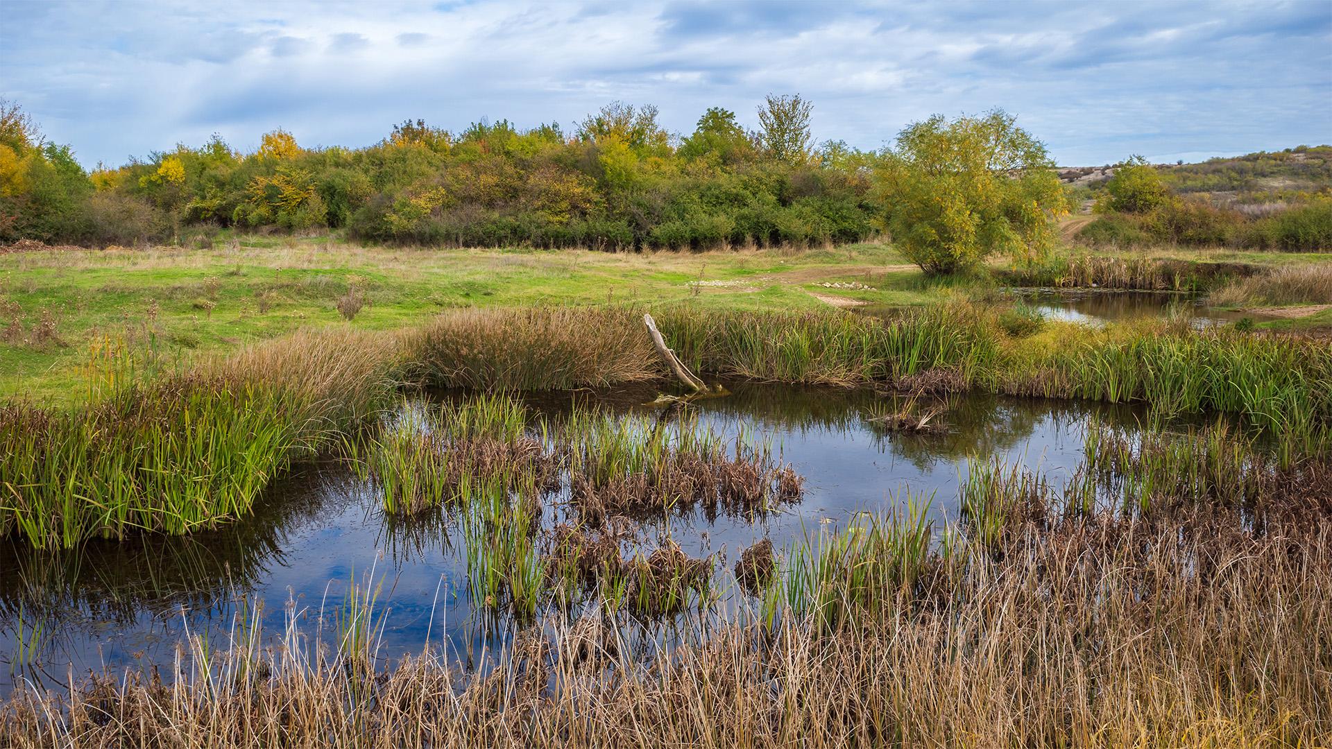 Segédlet a vizes élőhely pályázat benyújtásához