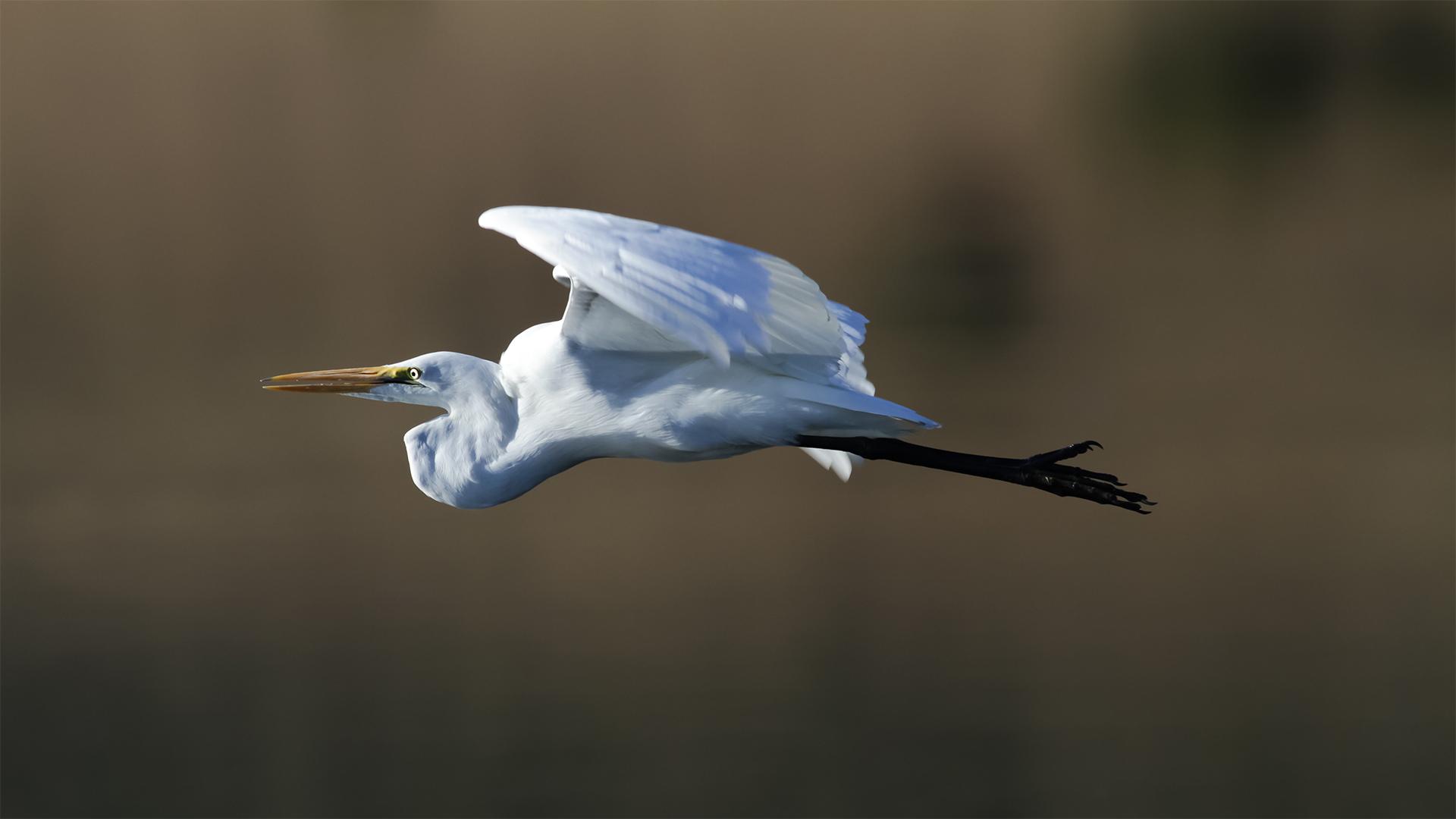 Sok lehetőséget kínál a LIFE program