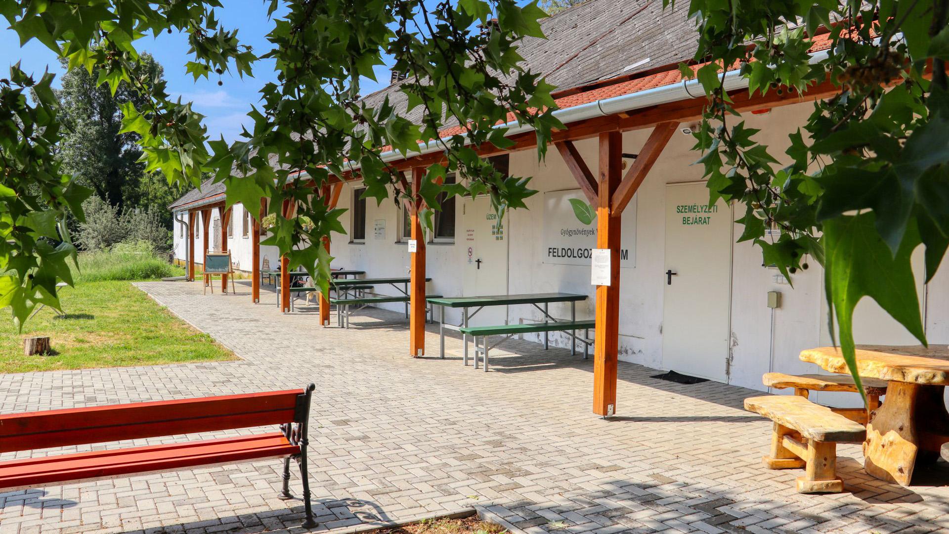 Bio- és gyógynövények Zalaszentlászlóról