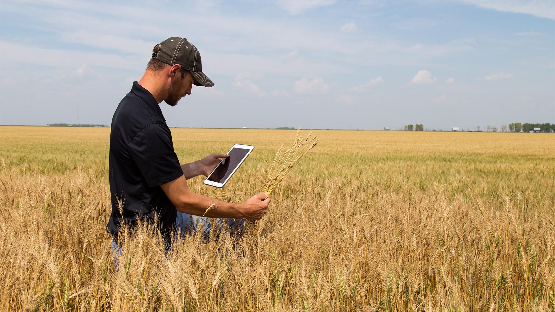 Elindult a 2026. évi egységes kérelmek benyújtása