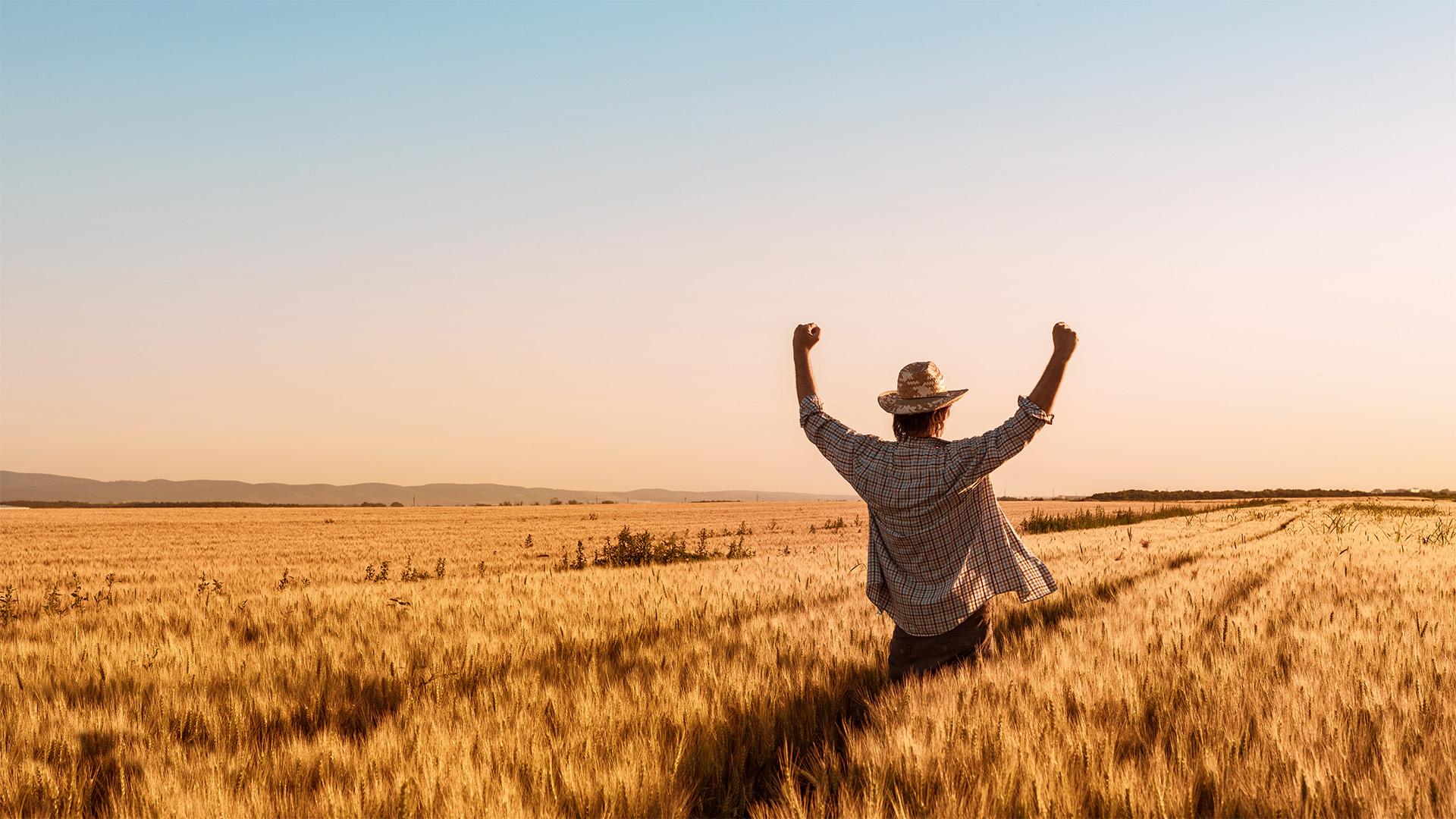 Lehetőségek az agrár-generációváltás útvesztőiben