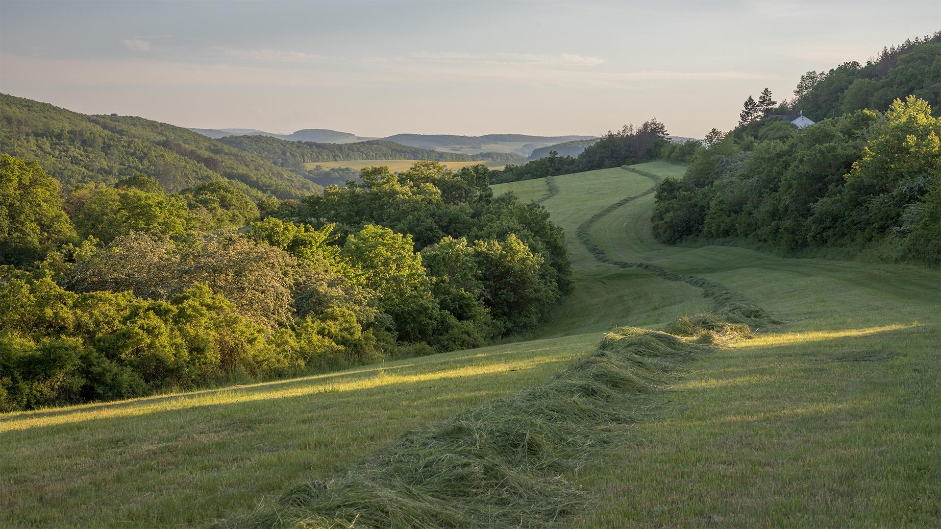 Módosítások a KAP ST AKG felhívásban 