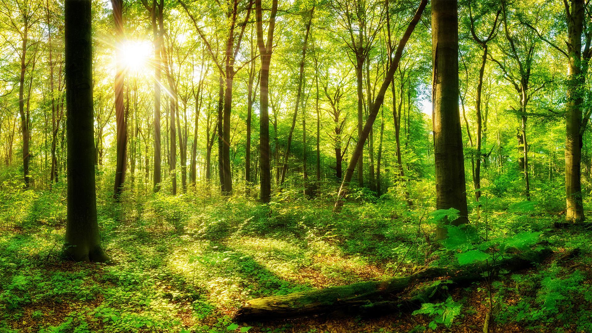 Módosult az EKV II. pályázati felhívás