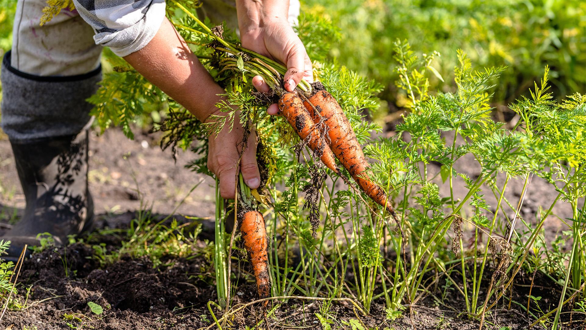 Termelői kérdőív az agroturizmus jövőjéért