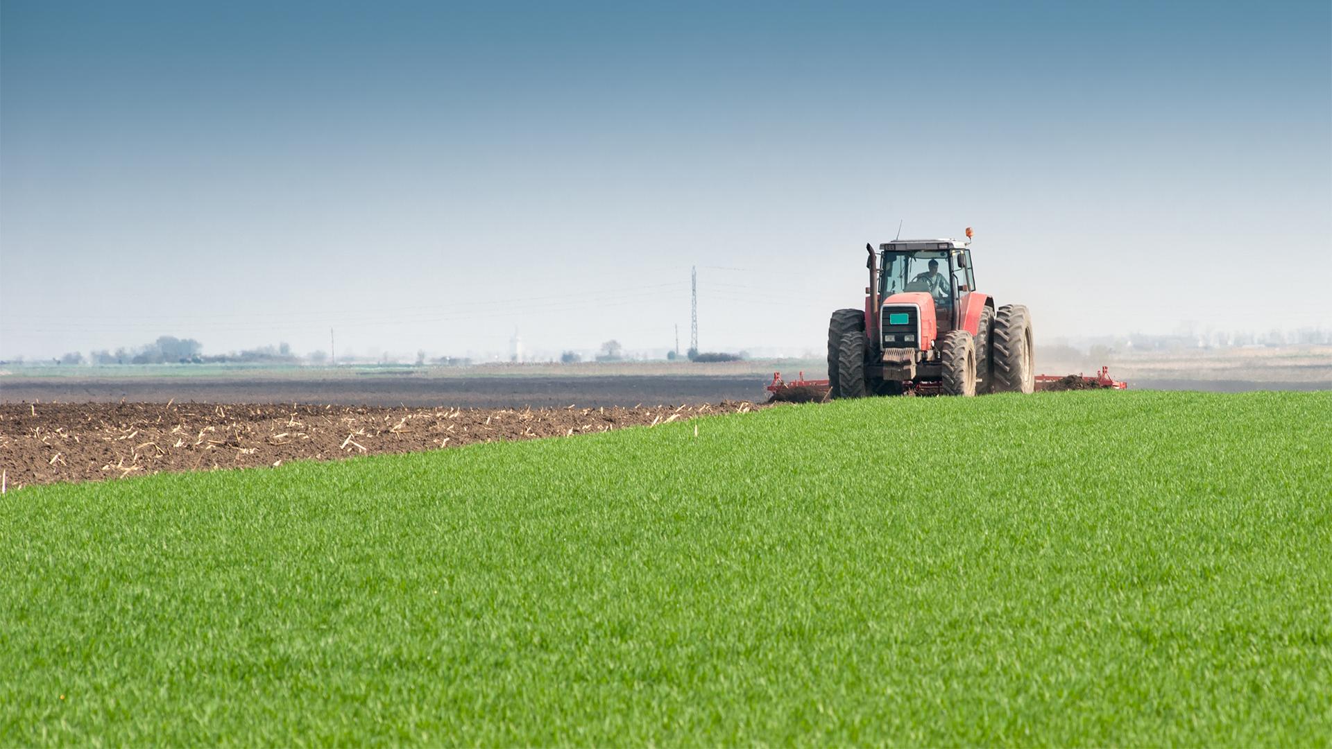 Traktoron és TikTokon is otthon van