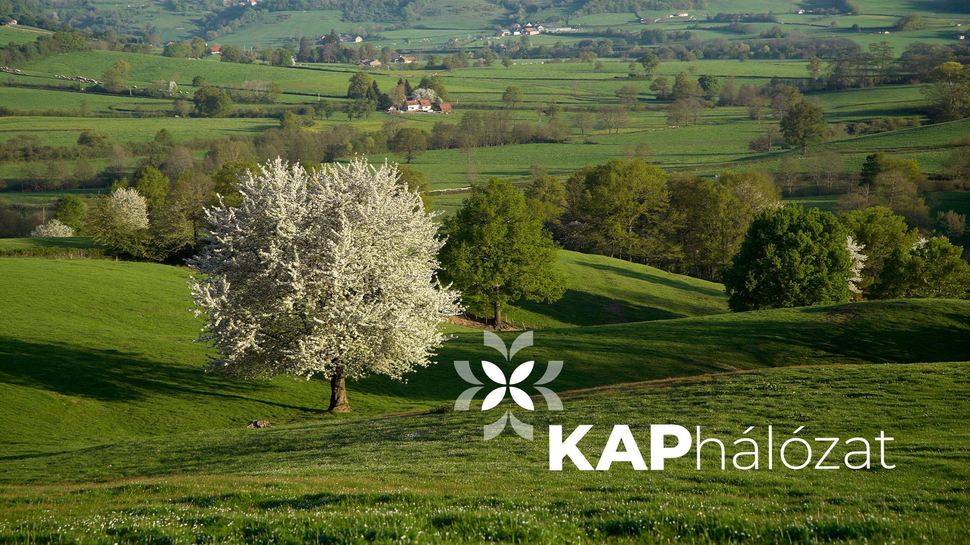 A KAP-hálózat új lendületet adhat az agráriumnak 