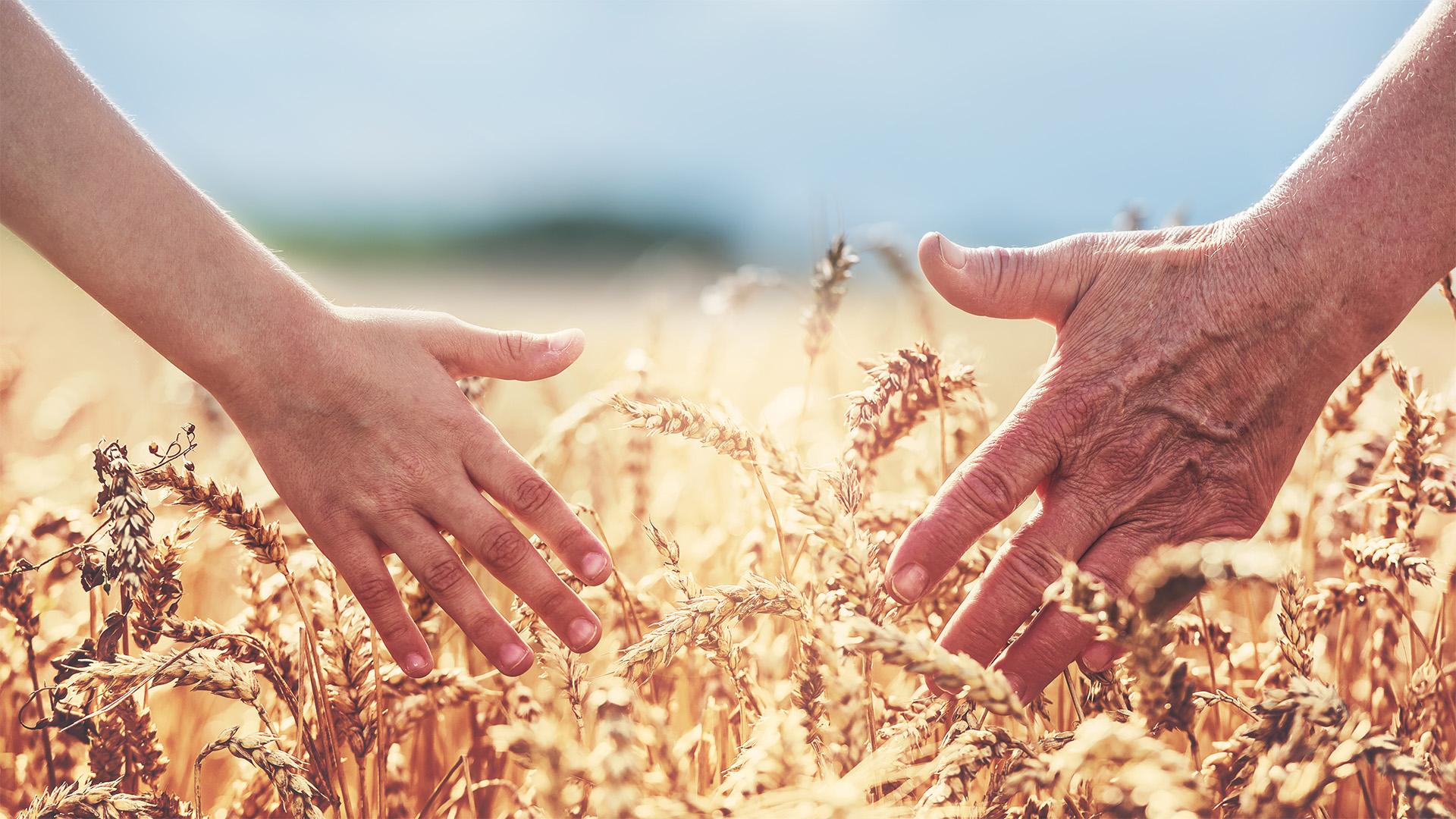 Eurobarométer: az európaiak támogatják az uniós agrárforrásokat