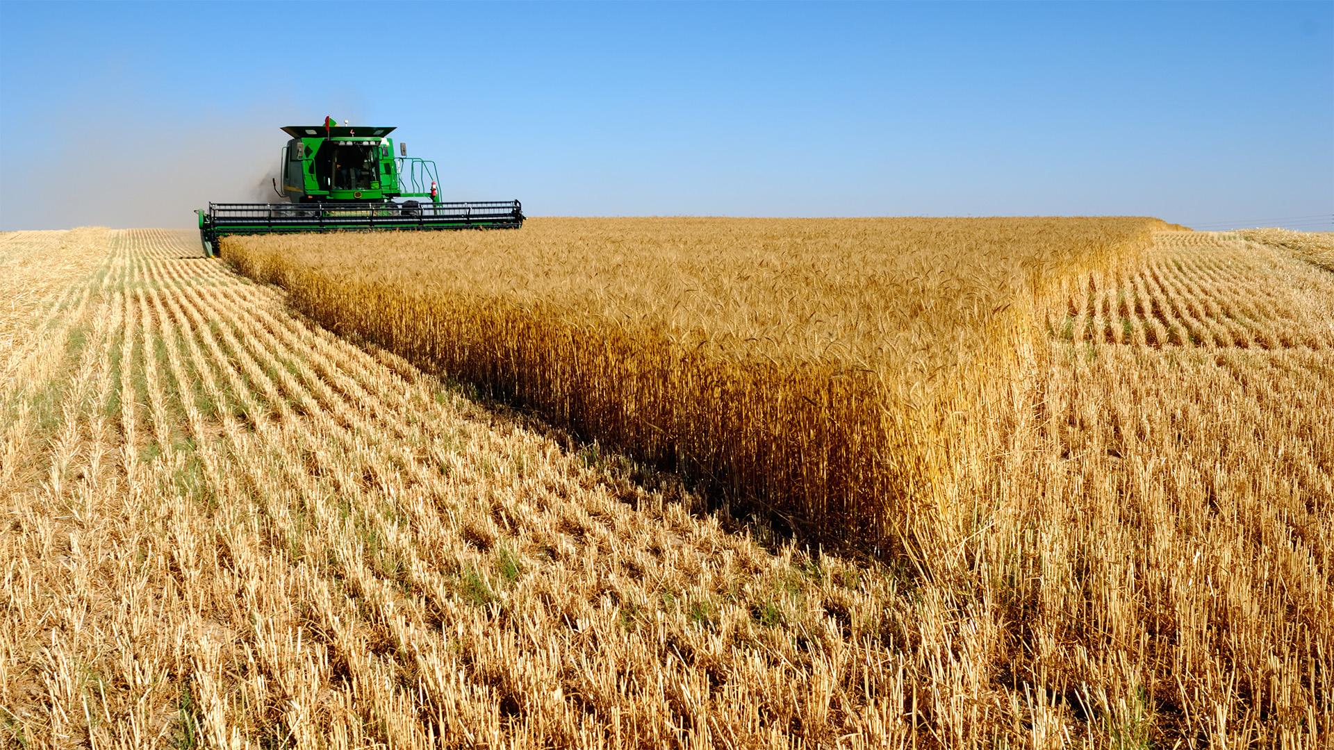 Átalakulhatnak az agrártámogatások