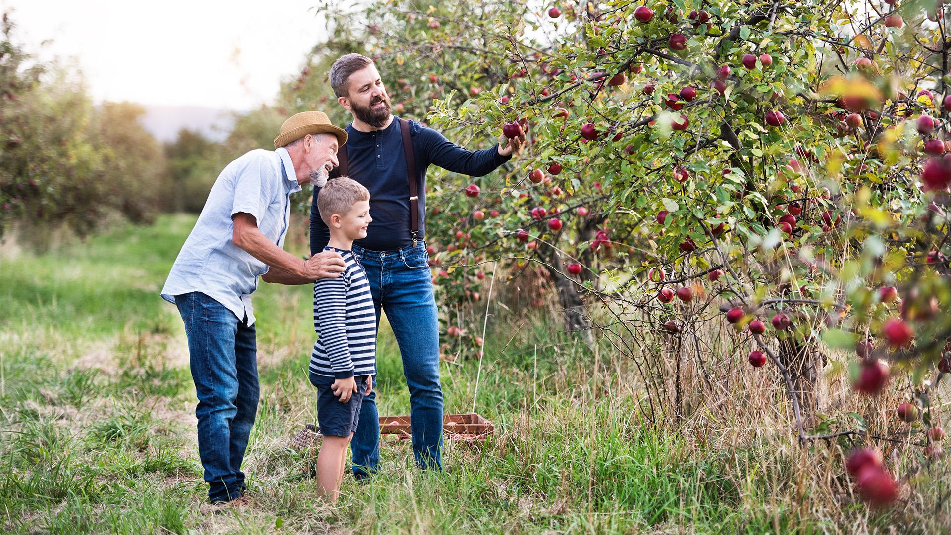 A humán oldalon dől el a magyar agrárium generációs megújulása
